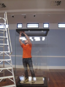 Dieter Coleman assembling a showcase in the Bestall Gallery